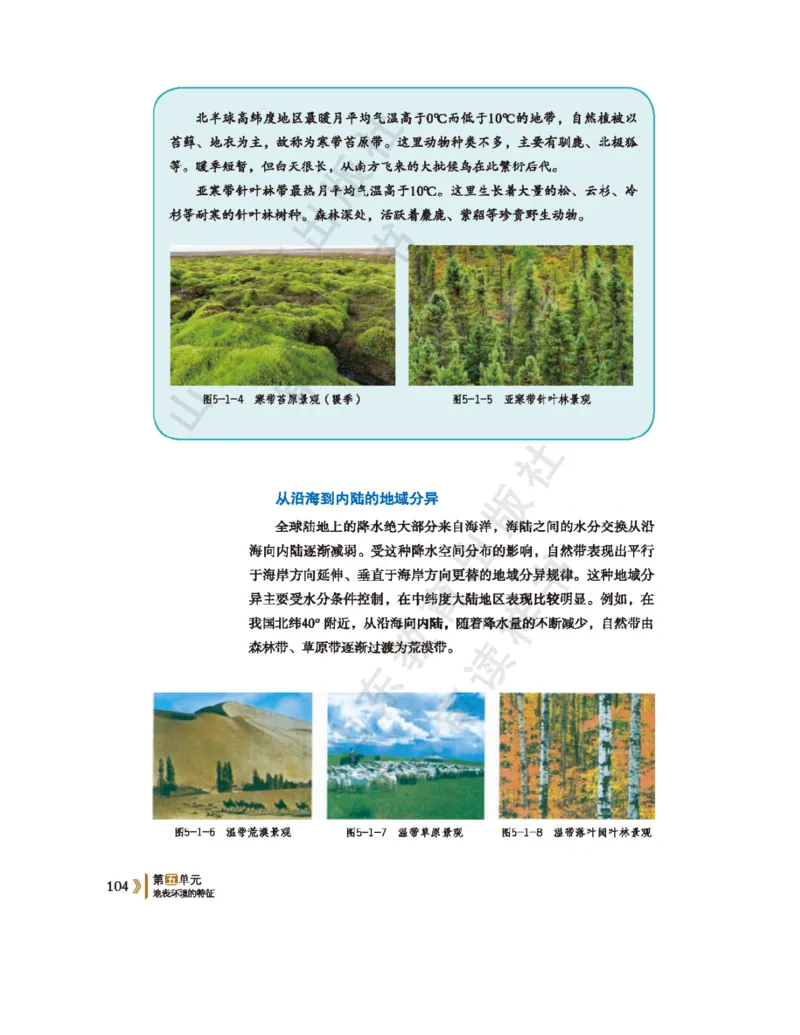 2020新鲁教版高中地理选择性必修一_4-教培资料-26年最新资料-同步更新_初中高中教资_03科三专项（进去保存报考的学科即可）_02科三专项（笔记真题思维导图教学设计版本二）