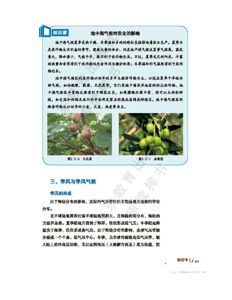 2020新鲁教版高中地理选择性必修一_4-教培资料-26年最新资料-同步更新_初中高中教资_03科三专项（进去保存报考的学科即可）_02科三专项（笔记真题思维导图教学设计版本二）