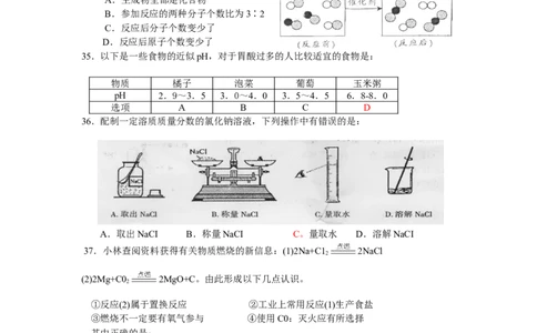 2010年海南中考化学试题及答案_中考真题_5.化学中考真题2015-2024年_地区卷_海南中考化学08-21