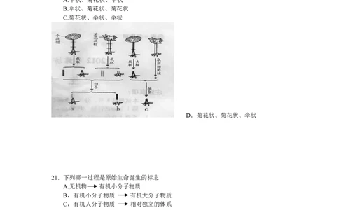 2012潍坊市中考生物试题带答案(word版)_中考真题_8.生物中考真题2015-2024年_地区卷_山东省_山东潍坊中考生物08-21