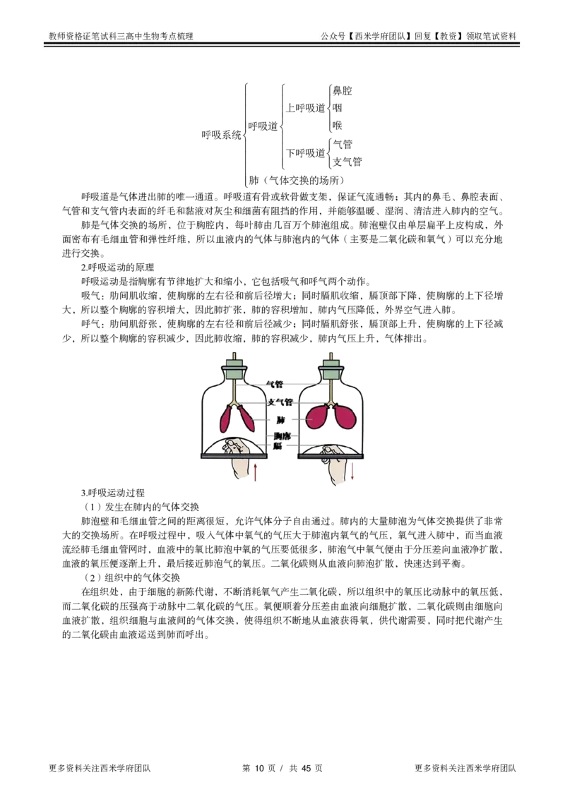 高中生物-考点梳理1_教资_25下资料合集二_25下最新科三知识点汇编+思维导图-高中_09.生物_04.考点梳理