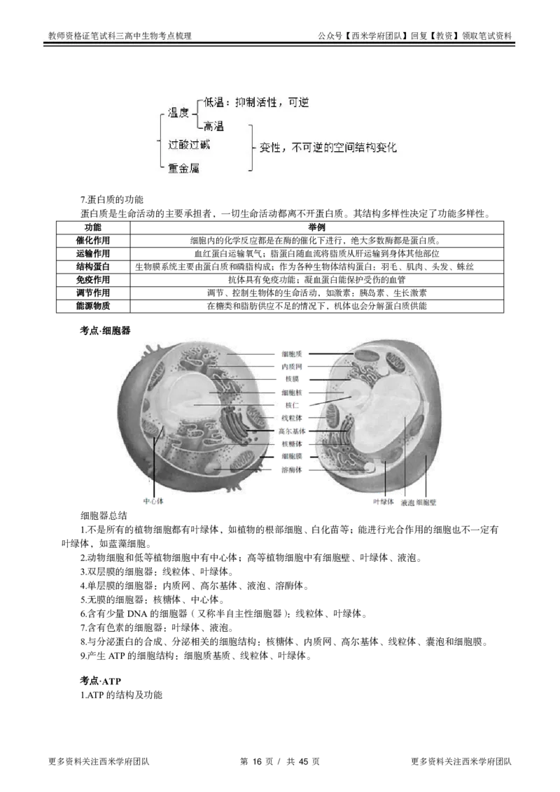高中生物-考点梳理1_教资_25下资料合集二_25下最新科三知识点汇编+思维导图-高中_09.生物_04.考点梳理