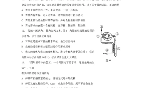 2013年山东省东营市中考生物试题(word版含答案)_中考真题_8.生物中考真题2015-2024年_地区卷_山东省_东营中考生物09-22