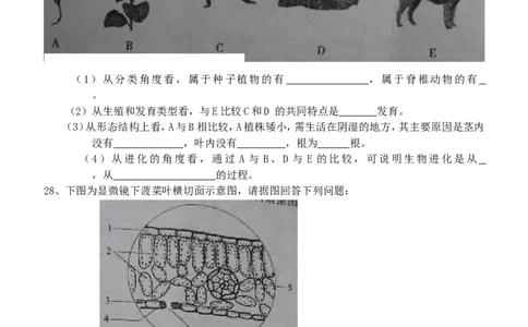 2011年聊城市中考生物试卷及答案_中考真题_8.生物中考真题2015-2024年_地区卷_山东省_山东聊城生物10-22