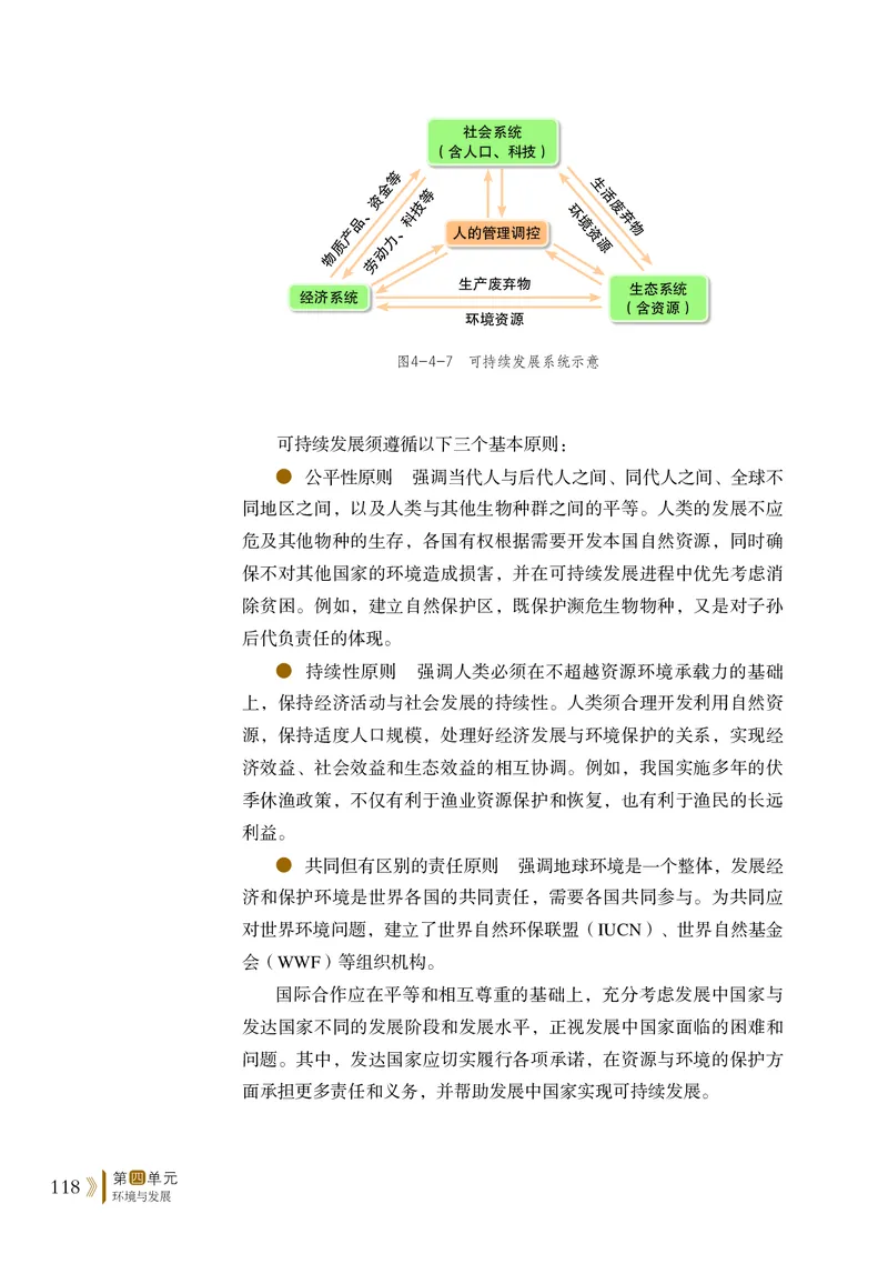 2019鲁教版高中地理必修第二册_4-教培资料-26年最新资料-同步更新_初中高中教资_03科三专项（进去保存报考的学科即可）_02科三专项（笔记真题思维导图教学设计版本二）