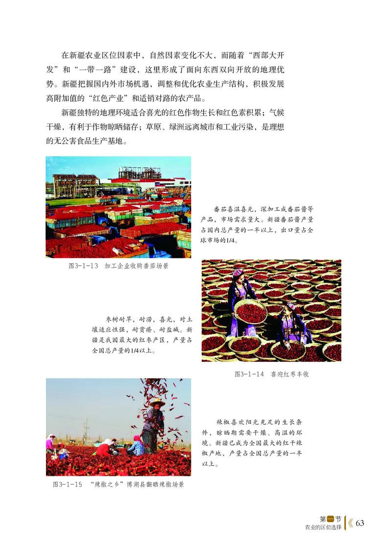 2019鲁教版高中地理必修第二册_4-教培资料-26年最新资料-同步更新_初中高中教资_03科三专项（进去保存报考的学科即可）_02科三专项（笔记真题思维导图教学设计版本二）