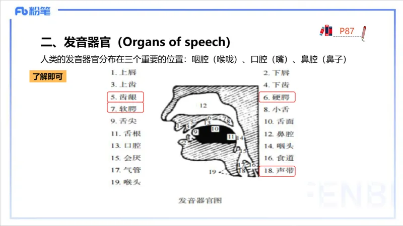 1.21晚-理论精讲-语言学1-李婉君_4-教培资料-26年最新资料-同步更新_科一科二电子资料合集中小幼（笔记真题知识点汇总等）文件多，按需保存_各机构笔记合集（中小幼）推荐_讲义