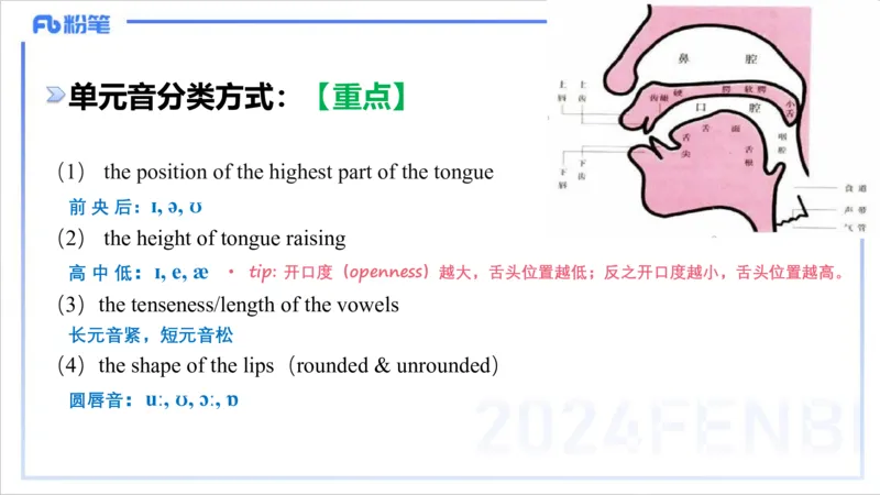 1.21晚-理论精讲-语言学1-李婉君_4-教培资料-26年最新资料-同步更新_科一科二电子资料合集中小幼（笔记真题知识点汇总等）文件多，按需保存_各机构笔记合集（中小幼）推荐_讲义
