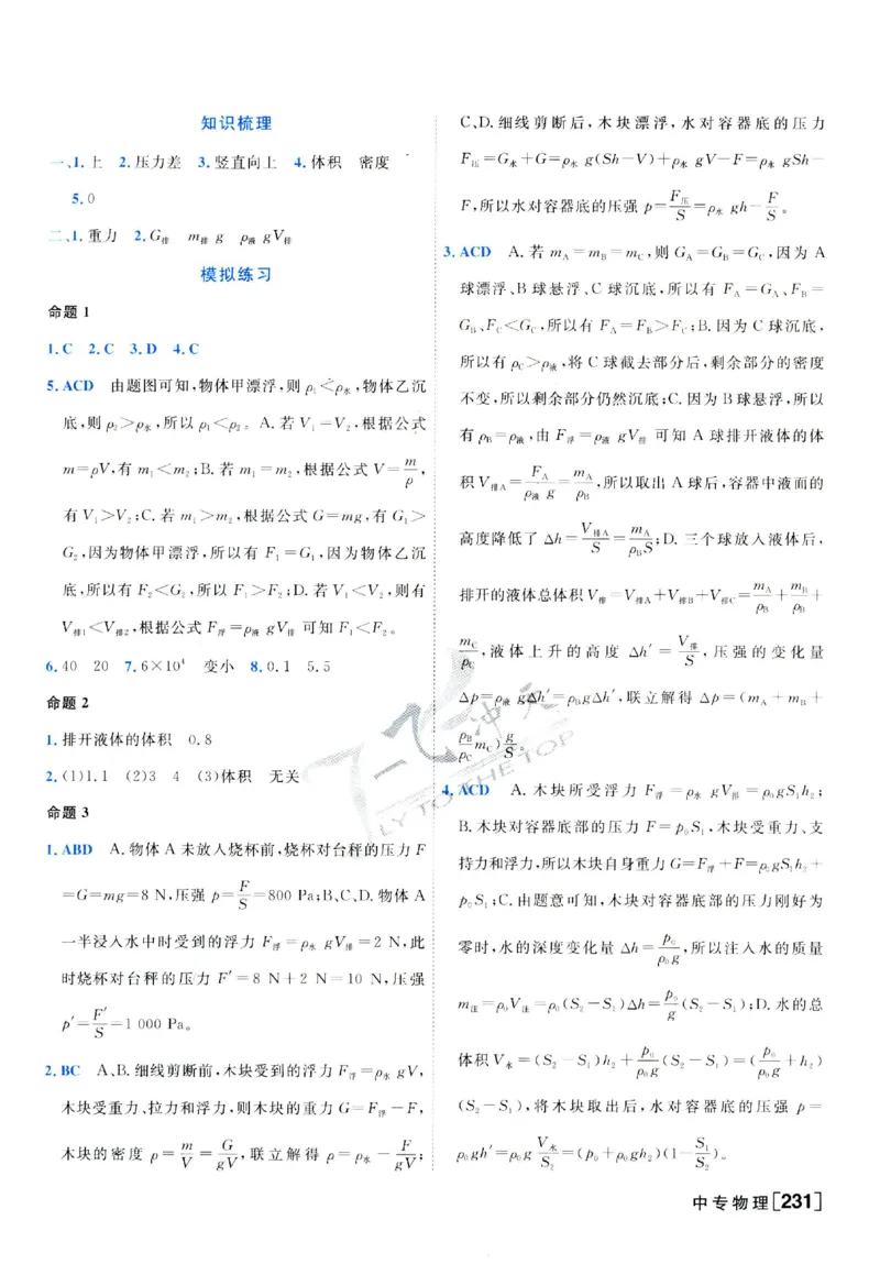 2025《一飞冲天-中考专项》物理答案_《一飞冲天-中考专项》2026版_一飞冲天-中考专项（2025版）