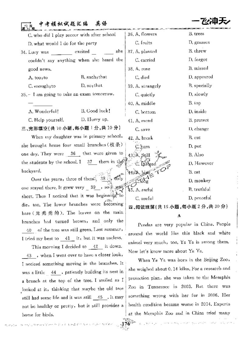 2025《一飞冲天-中考模拟试题汇编》英语_《一飞冲天-中考专项》2026版_一飞冲天-中考模拟试题汇编（2025版）