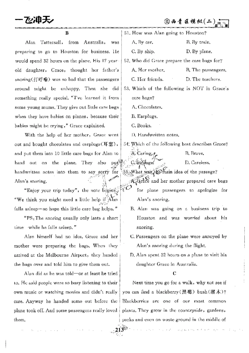 2025《一飞冲天-中考模拟试题汇编》英语_《一飞冲天-中考专项》2026版_一飞冲天-中考模拟试题汇编（2025版）