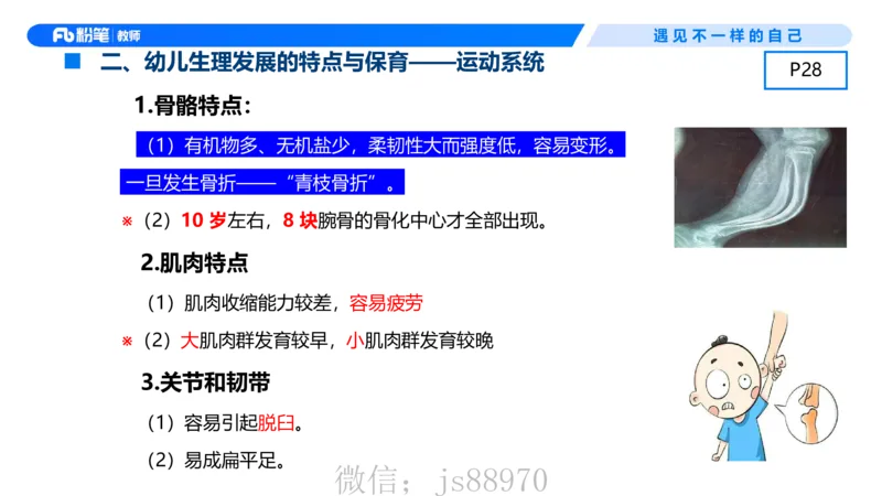 幼儿科目二+理论精讲03-保教知识与能力-曹西西(1)_教资_F家2026上教资笔试系统班_26上FB幼儿教资笔试（更新中）_0226上-保教知识与能力（更新中）_1.理论精讲_讲义