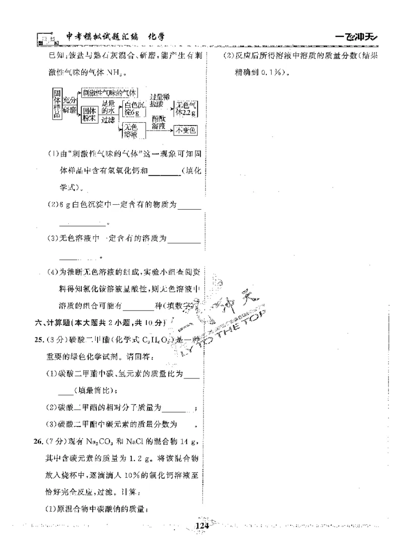 2025《一飞冲天-中考模拟试题汇编》化学_《一飞冲天-中考专项》2026版_一飞冲天-中考模拟试题汇编（2025版）