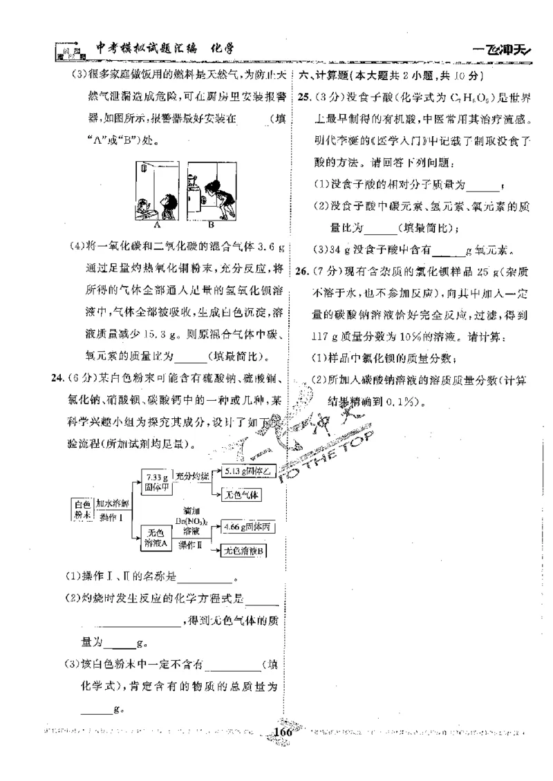 2025《一飞冲天-中考模拟试题汇编》化学_《一飞冲天-中考专项》2026版_一飞冲天-中考模拟试题汇编（2025版）