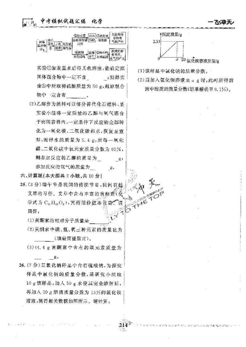 2025《一飞冲天-中考模拟试题汇编》化学_《一飞冲天-中考专项》2026版_一飞冲天-中考模拟试题汇编（2025版）