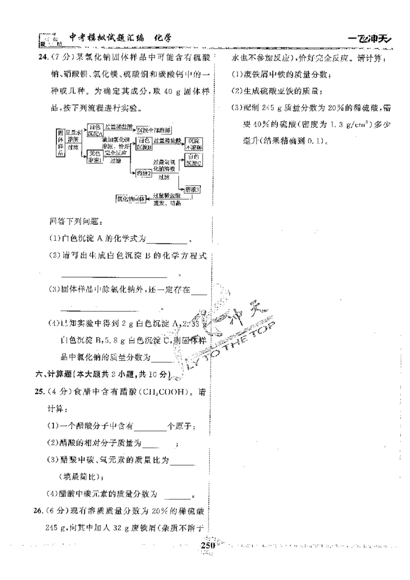 2025《一飞冲天-中考模拟试题汇编》化学_《一飞冲天-中考专项》2026版_一飞冲天-中考模拟试题汇编（2025版）