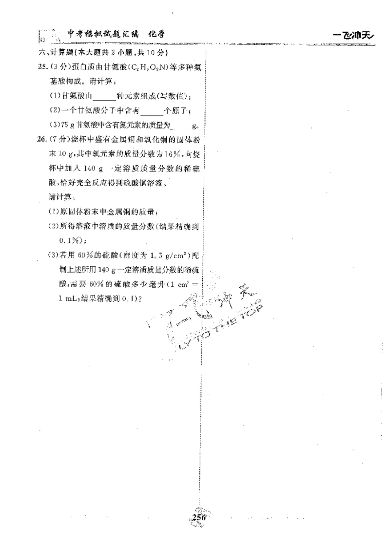 2025《一飞冲天-中考模拟试题汇编》化学_《一飞冲天-中考专项》2026版_一飞冲天-中考模拟试题汇编（2025版）
