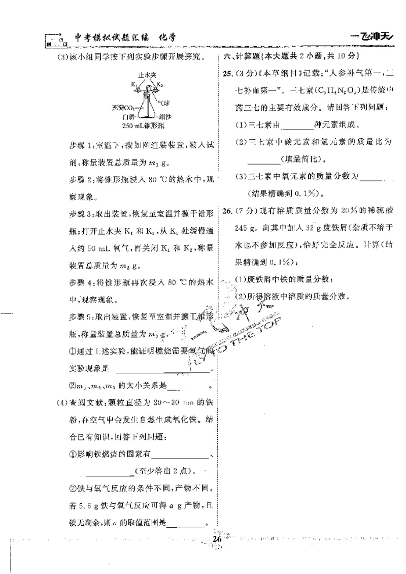 2025《一飞冲天-中考模拟试题汇编》化学_《一飞冲天-中考专项》2026版_一飞冲天-中考模拟试题汇编（2025版）
