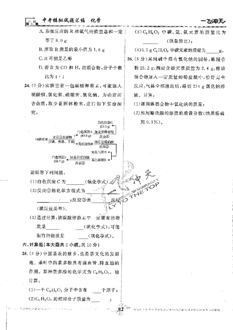 2025《一飞冲天-中考模拟试题汇编》化学_《一飞冲天-中考专项》2026版_一飞冲天-中考模拟试题汇编（2025版）