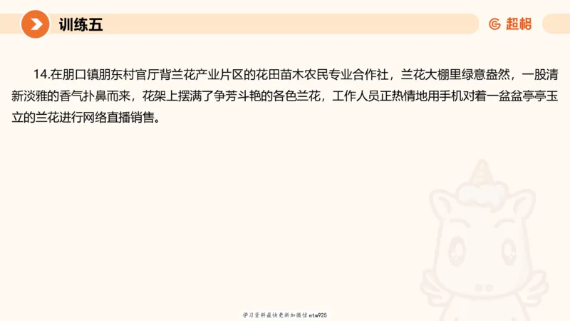 2025省考申论超大杯刷题课-专项刷题220250105080102_2026考公资料_（05）超格_行测申论2025超格合集(行测&申论&政治理论)_行测申论2025省考超格超大杯刷题课（五合一）_课件