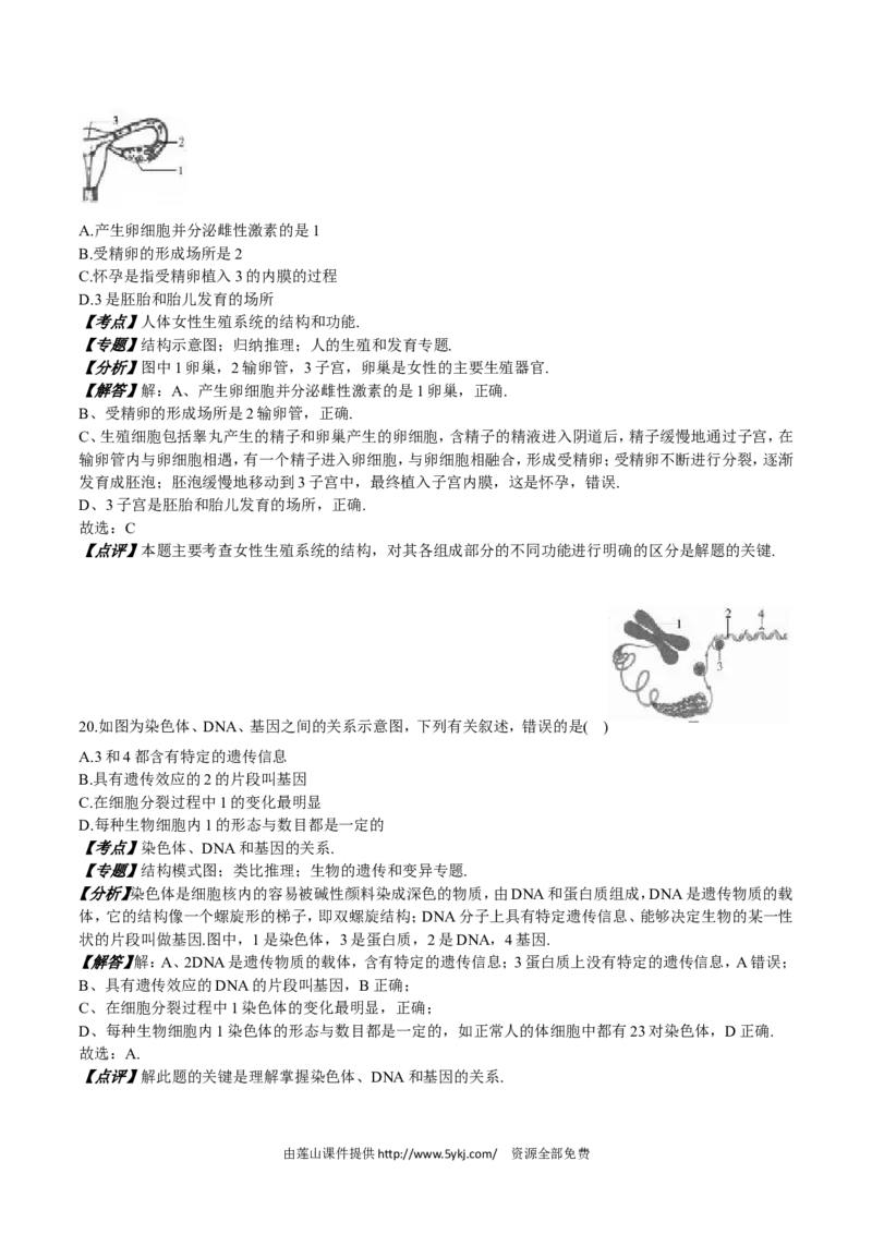 2016年山东省东营市中考生物试题(word版含答案)_中考真题_8.生物中考真题2015-2024年_地区卷_山东省_东营中考生物09-22