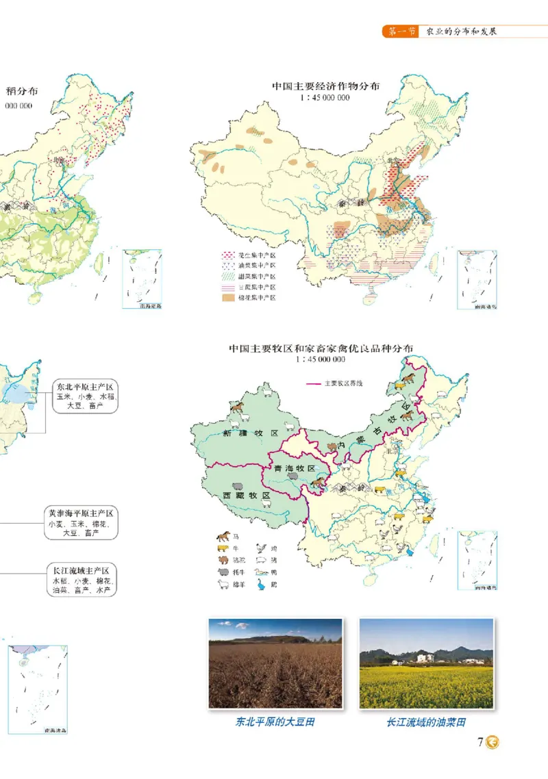 中图版7年级地理下册地理图册主编：钟作慈_4-教培资料-26年最新资料-同步更新_初中高中教资_03科三专项（进去保存报考的学科即可）_102025初中科目（全）电子教材