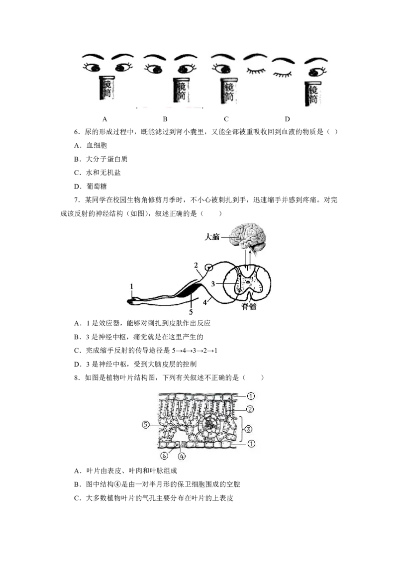 24上教资资格押题卷初中生物（一）试题_4-教培资料-26年最新资料-同步更新_初中高中教资_03科三专项（进去保存报考的学科即可）_初中_初中生物-通关资料包_6.押题考前押题卷