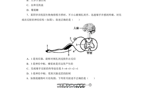 24上教资资格押题卷初中生物（一）试题_4-教培资料-26年最新资料-同步更新_初中高中教资_03科三专项（进去保存报考的学科即可）_初中_初中生物-通关资料包_6.押题考前押题卷