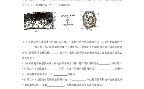 2015年枣庄市中考生物试题及答案_中考真题_8.生物中考真题2015-2024年_地区卷_山东省_枣庄生物10-22缺20