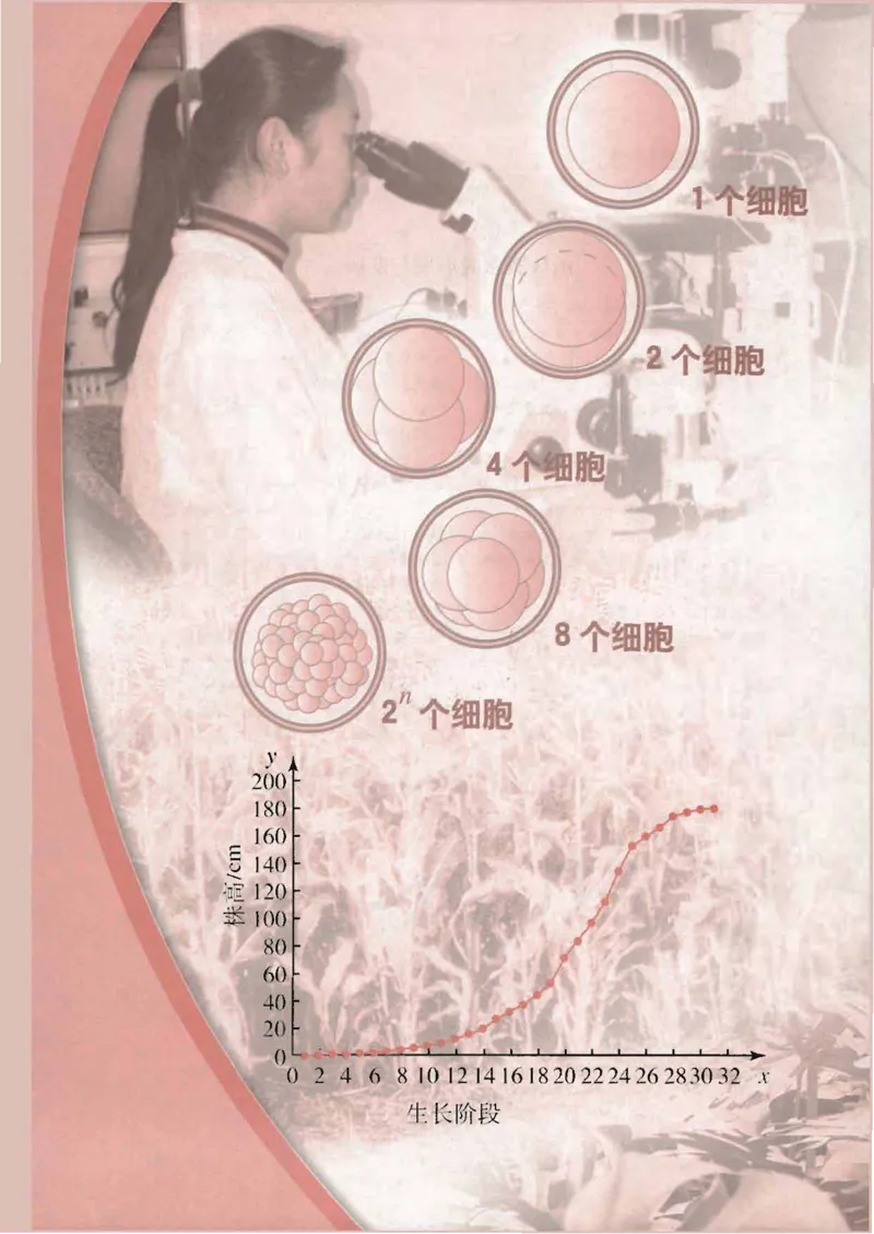 人教B版高中数学必修1_4-教培资料-26年最新资料-同步更新_初中高中教资_03科三专项（进去保存报考的学科即可）_02科三专项（笔记真题思维导图教学设计版本二）