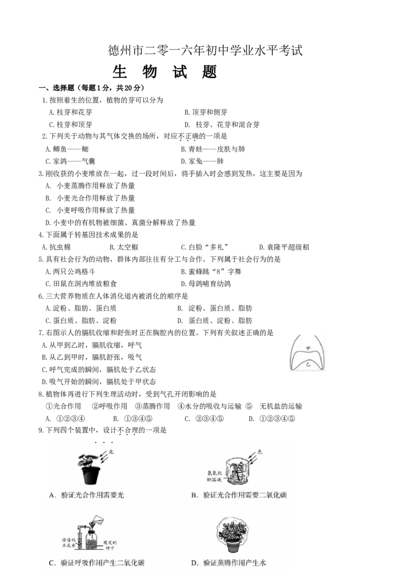 2016年德州市中考生物试题及答案_中考真题_8.生物中考真题2015-2024年_地区卷_山东省_山东德州生物11-20