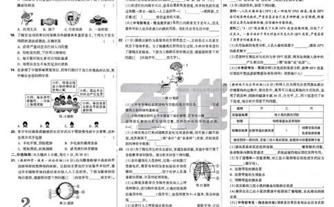 2026《万唯大小卷&bull;生物》8上大卷(RJ)_2026万唯系列预习复习_2026版初中《万唯大小卷》8年级上册（全科多版本）_2026《万唯大小卷&bull;生物》8全(RJ)