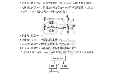 24上中学笔试科目三《学科知识与教学能力》模拟卷-初24上中生物-模拟预测卷_4-教培资料-26年最新资料-同步更新_初中高中教资_03科三专项（进去保存报考的学科即可）_初中