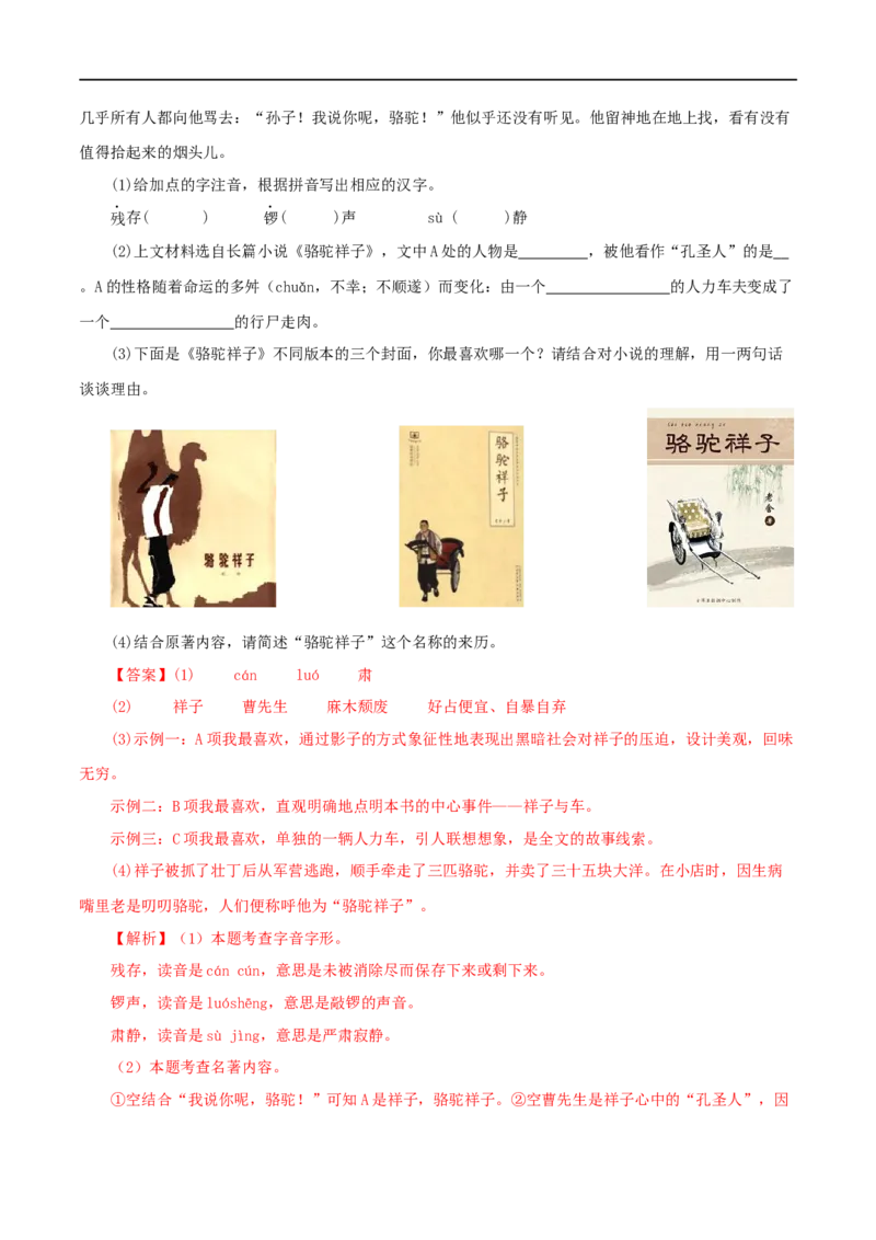 专题03《骆驼祥子》真题精练（单一题）（解析版）_120中考语文全套复习_中考语文复习总复习_专项复习资料_完2024年中考语文名著阅读知识知识梳理+真题练习_答案解析版