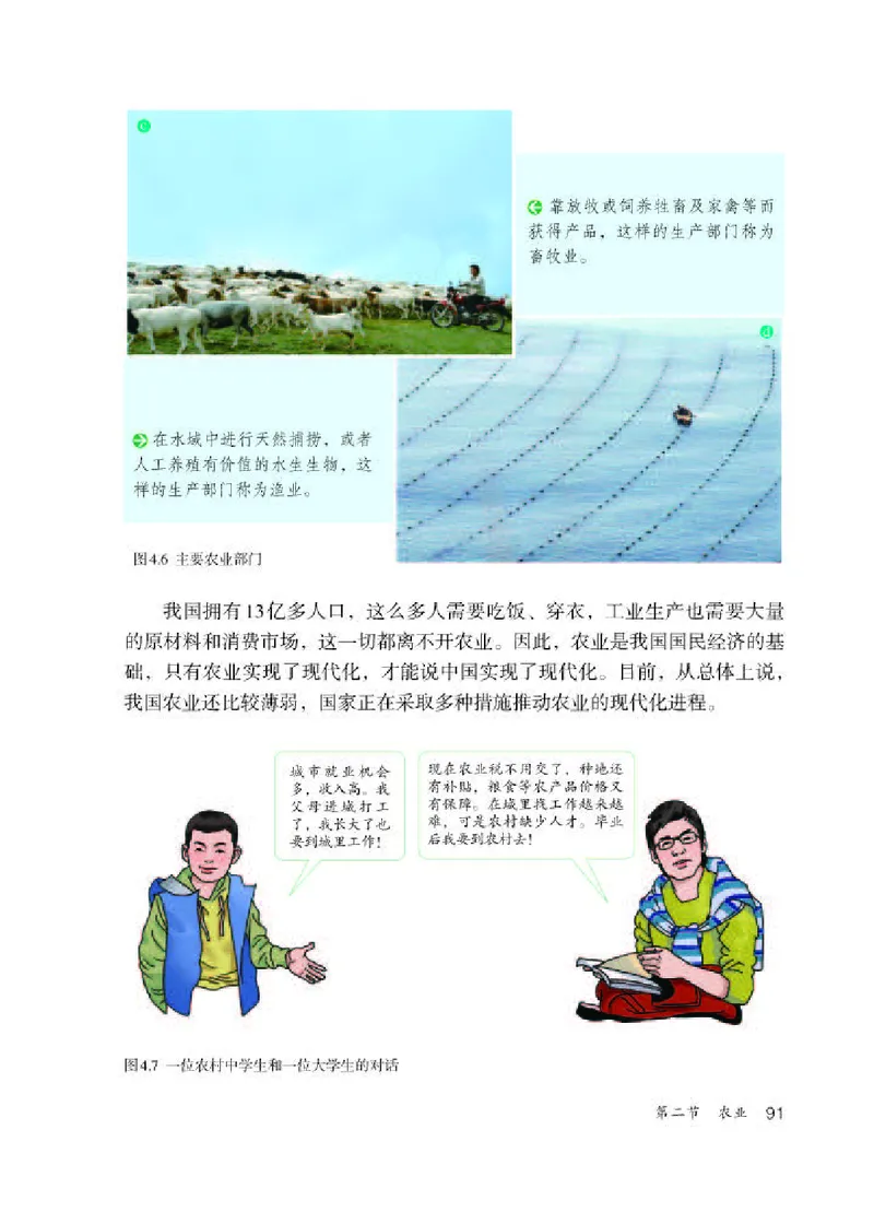 人教版8年级地理上册高清教材_4-教培资料-26年最新资料-同步更新_初中高中教资_03科三专项（进去保存报考的学科即可）_02科三专项（笔记真题思维导图教学设计版本二）