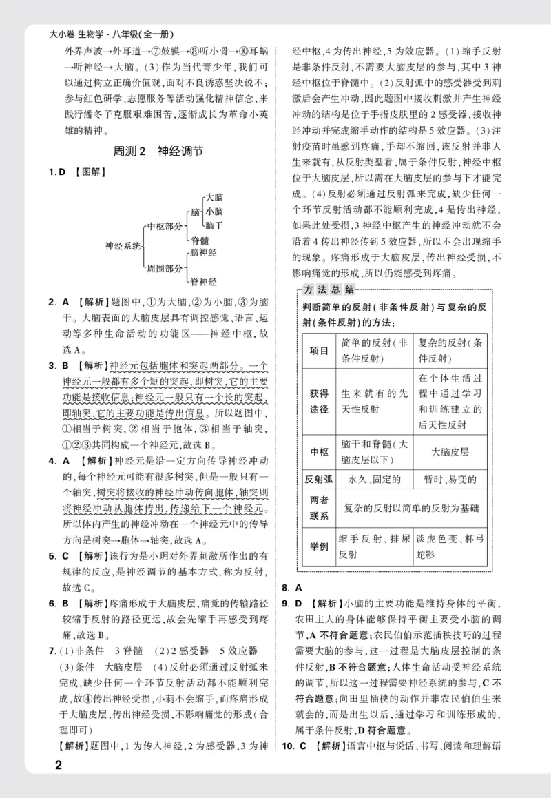 2026《万唯大小卷&bull;生物》8全周测小卷详解详析(RJ)_2026万唯系列预习复习_2026版初中《万唯大小卷》8年级上册（全科多版本）_2026《万唯大小卷&bull;生物》8全(RJ)