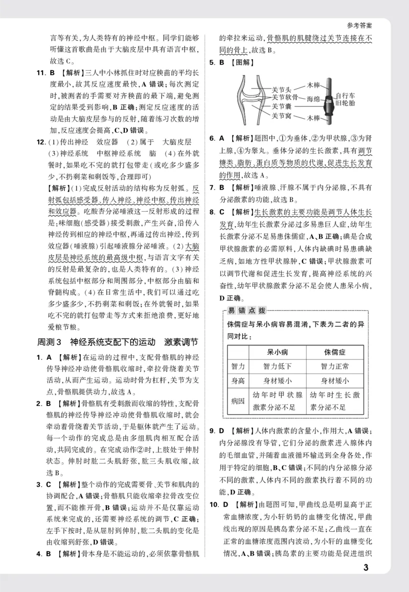 2026《万唯大小卷&bull;生物》8全周测小卷详解详析(RJ)_2026万唯系列预习复习_2026版初中《万唯大小卷》8年级上册（全科多版本）_2026《万唯大小卷&bull;生物》8全(RJ)