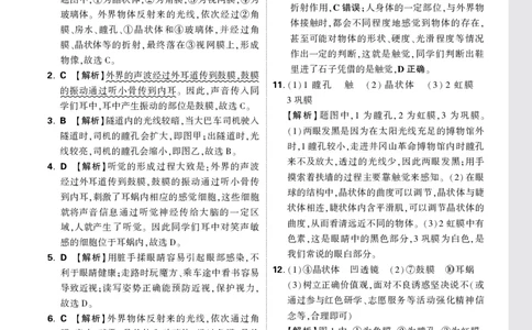 2026《万唯大小卷&bull;生物》8全周测小卷详解详析(RJ)_2026万唯系列预习复习_2026版初中《万唯大小卷》8年级上册（全科多版本）_2026《万唯大小卷&bull;生物》8全(RJ)