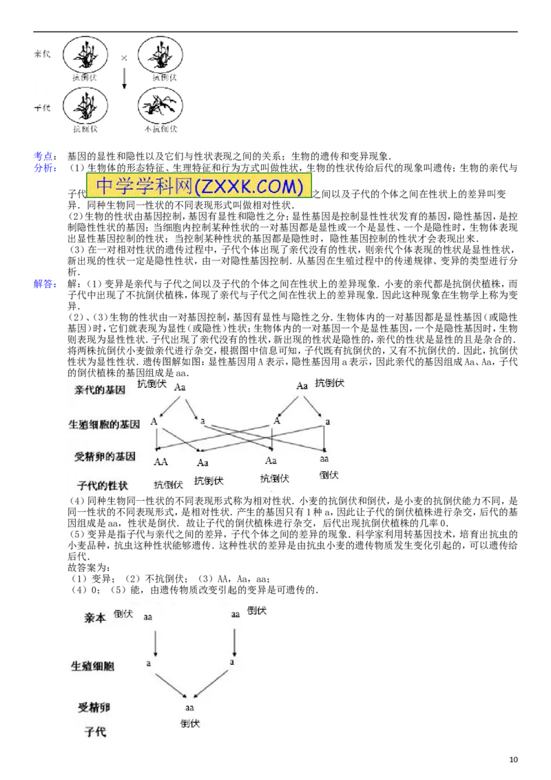 2014年菏泽市中考生物试题含答案解析_中考真题_8.生物中考真题2015-2024年_地区卷_山东省_菏泽生物10-22