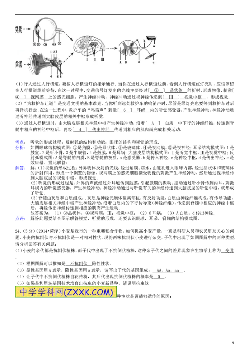 2014年菏泽市中考生物试题含答案解析_中考真题_8.生物中考真题2015-2024年_地区卷_山东省_菏泽生物10-22