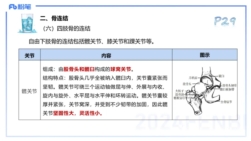 25上理论精讲&mdash;运动解剖学3-陈晶晶_4-教培资料-26年最新资料-同步更新_初中高中教资_03科三专项（进去保存报考的学科即可）_初中_初中体育-通关资料包_3.课程FB系统班课程