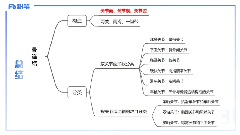 25上理论精讲&mdash;运动解剖学3-陈晶晶_4-教培资料-26年最新资料-同步更新_初中高中教资_03科三专项（进去保存报考的学科即可）_初中_初中体育-通关资料包_3.课程FB系统班课程