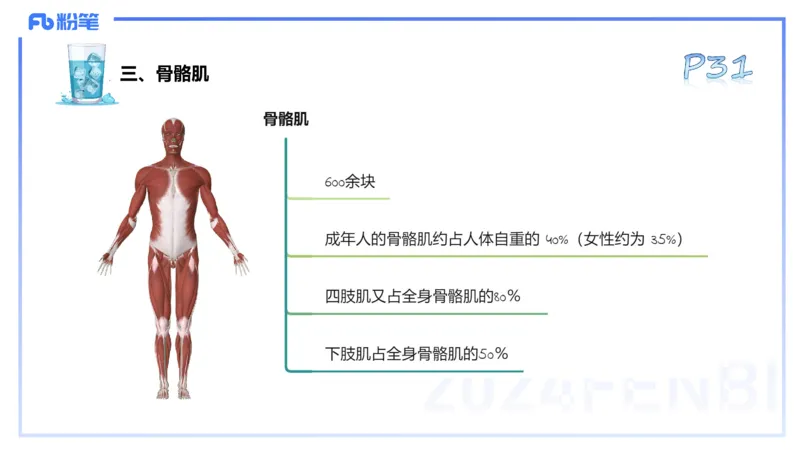 25上理论精讲&mdash;运动解剖学3-陈晶晶_4-教培资料-26年最新资料-同步更新_初中高中教资_03科三专项（进去保存报考的学科即可）_初中_初中体育-通关资料包_3.课程FB系统班课程