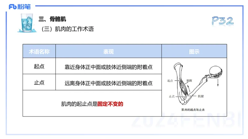 25上理论精讲&mdash;运动解剖学3-陈晶晶_4-教培资料-26年最新资料-同步更新_初中高中教资_03科三专项（进去保存报考的学科即可）_初中_初中体育-通关资料包_3.课程FB系统班课程
