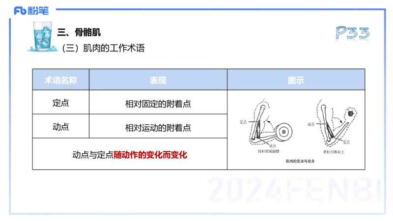 25上理论精讲&mdash;运动解剖学3-陈晶晶_4-教培资料-26年最新资料-同步更新_初中高中教资_03科三专项（进去保存报考的学科即可）_初中_初中体育-通关资料包_3.课程FB系统班课程