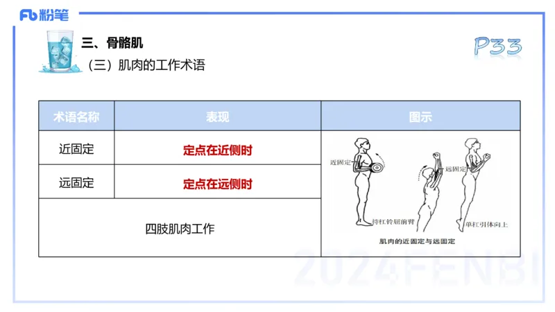 25上理论精讲&mdash;运动解剖学3-陈晶晶_4-教培资料-26年最新资料-同步更新_初中高中教资_03科三专项（进去保存报考的学科即可）_初中_初中体育-通关资料包_3.课程FB系统班课程