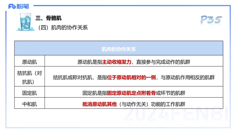 25上理论精讲&mdash;运动解剖学3-陈晶晶_4-教培资料-26年最新资料-同步更新_初中高中教资_03科三专项（进去保存报考的学科即可）_初中_初中体育-通关资料包_3.课程FB系统班课程