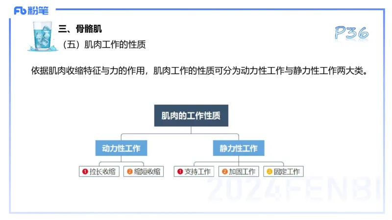 25上理论精讲&mdash;运动解剖学3-陈晶晶_4-教培资料-26年最新资料-同步更新_初中高中教资_03科三专项（进去保存报考的学科即可）_初中_初中体育-通关资料包_3.课程FB系统班课程