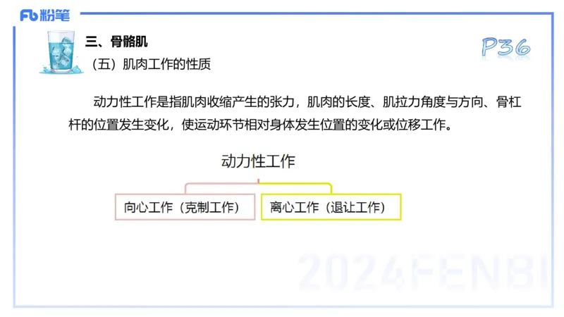 25上理论精讲&mdash;运动解剖学3-陈晶晶_4-教培资料-26年最新资料-同步更新_初中高中教资_03科三专项（进去保存报考的学科即可）_初中_初中体育-通关资料包_3.课程FB系统班课程