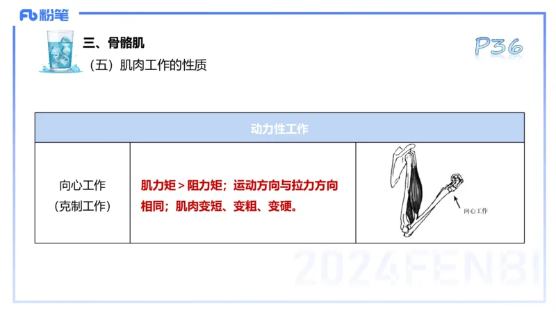 25上理论精讲&mdash;运动解剖学3-陈晶晶_4-教培资料-26年最新资料-同步更新_初中高中教资_03科三专项（进去保存报考的学科即可）_初中_初中体育-通关资料包_3.课程FB系统班课程
